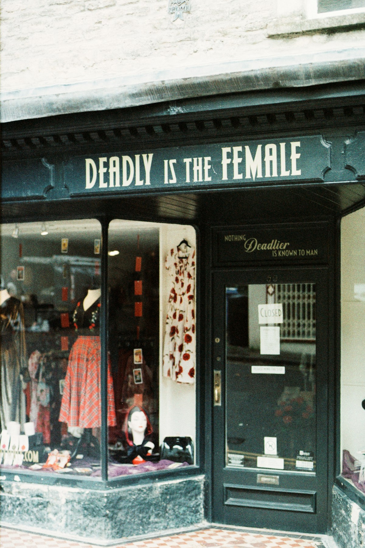 Phyllis & Mimosa  -  Retail & Fashion on Darby Street, Cooks Hill